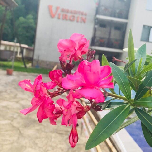 Family Hotel Virgin Ribarica Bagian luar foto