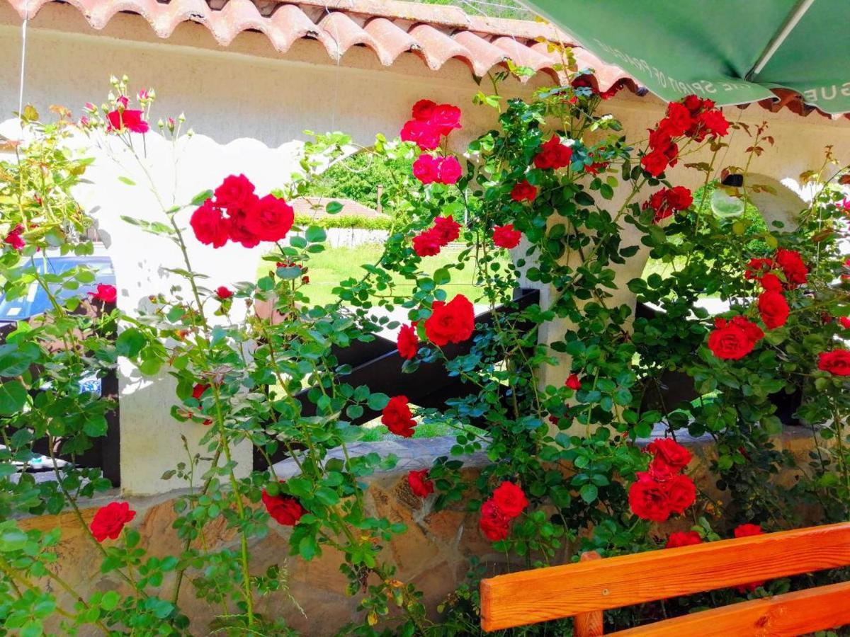 Family Hotel Virgin Ribarica Bagian luar foto